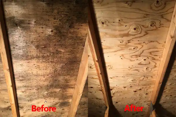 water damage restoration service Chagrin Falls